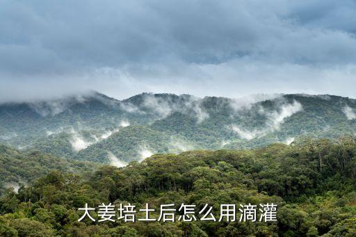 大姜培土后怎么用滴灌