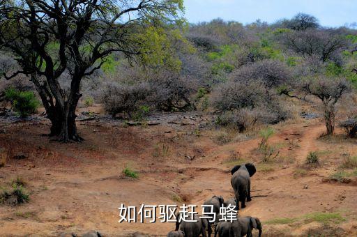 黃蜂怕什么農藥,蝸牛最怕什么農藥