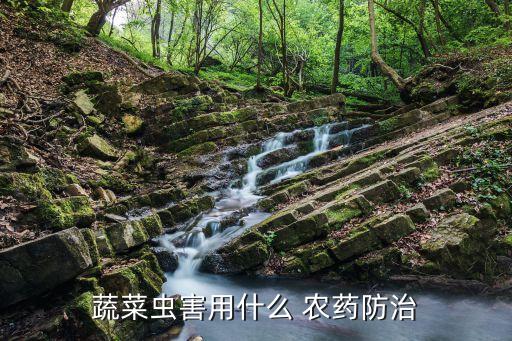 蟲子用什么農藥最好,葉片上的蟲子用什么農藥
