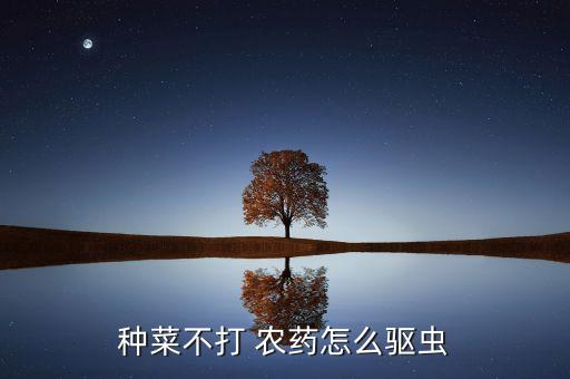 除了農藥還有什么殺蟲好