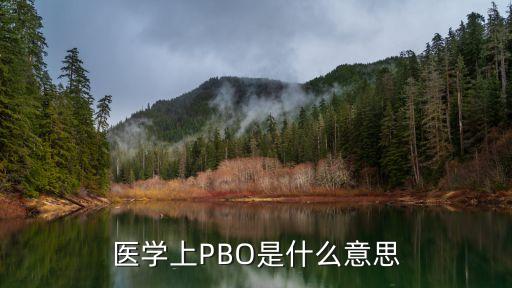 pbo農藥主要成分是什么,PBO是什么農藥