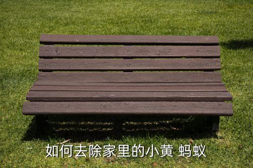 黃螞蟻用什么農藥,螞蟻用什么農藥可以除掉它