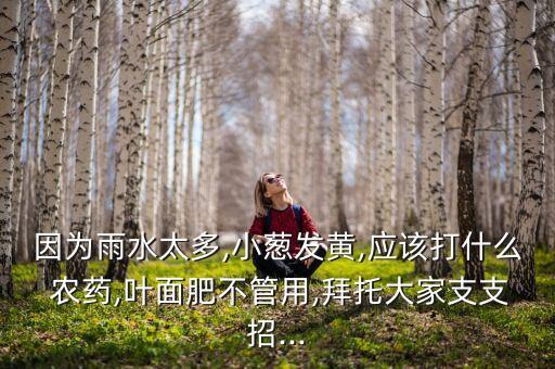 風雨后打什么農藥,打農藥一般什么時間打比較好