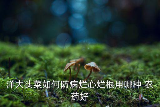 什么農藥去草爛根,能讓草爛根的農藥