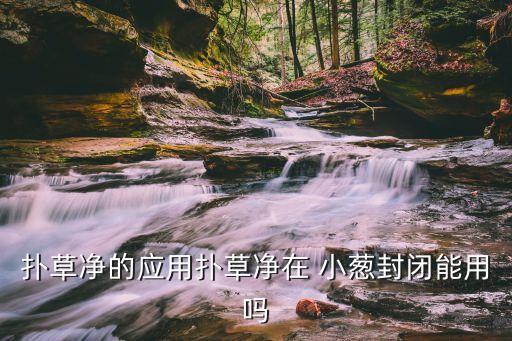 撲草凈的應(yīng)用撲草凈在 小蔥封閉能用嗎