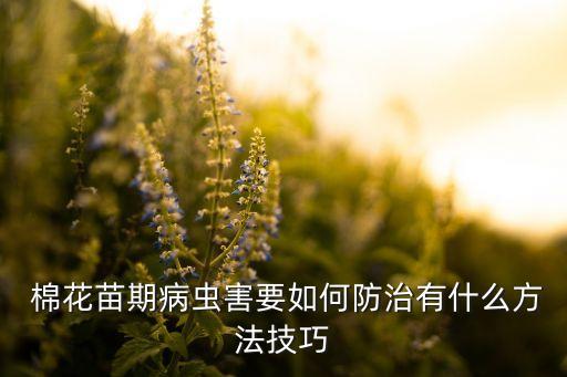  棉花苗期病蟲(chóng)害要如何防治有什么方法技巧