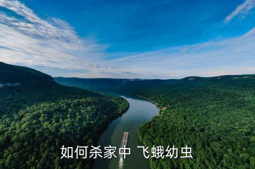 打飛蛾成蟲用什么農藥,小白飛蛾用什么農藥