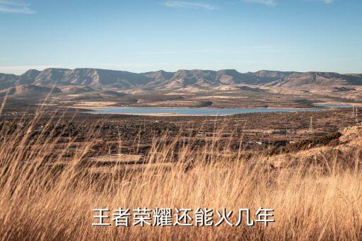 王者農(nóng)藥為什么那么火,為什么王者榮耀一直那么火