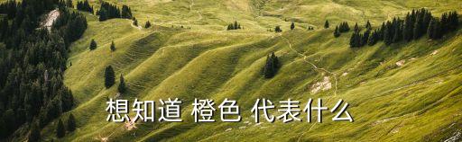 想知道 橙色 代表什么