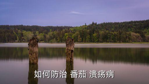 番茄潰瘍病用什么農(nóng)藥好,治潰瘍病用什么農(nóng)藥
