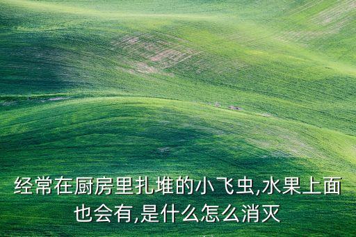 經常在廚房里扎堆的小飛蟲,水果上面也會有,是什么怎么消滅