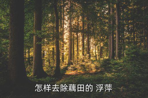 浮萍用什么農藥可以打死,什么農藥能殺死浮萍