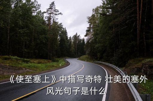 《使至塞上》中描寫奇特 壯美的塞外風光句子是什么