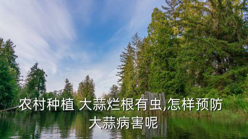 大蒜用什么農藥灌根,現在大蒜打什么農藥好