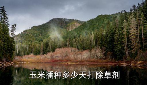  玉米播種多少天打除草劑