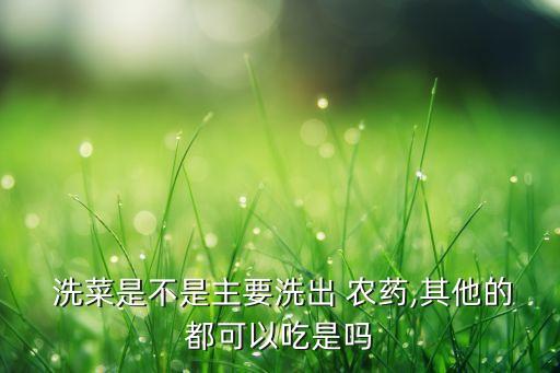  洗菜是不是主要洗出 農藥,其他的都可以吃是嗎