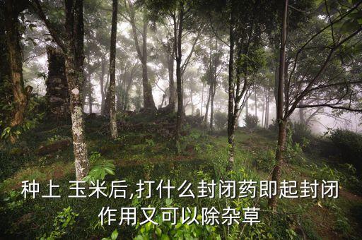 種上 玉米后,打什么封閉藥即起封閉作用又可以除雜草