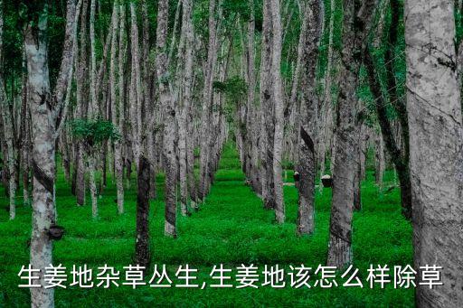 黃姜可以打農(nóng)藥嗎為什么