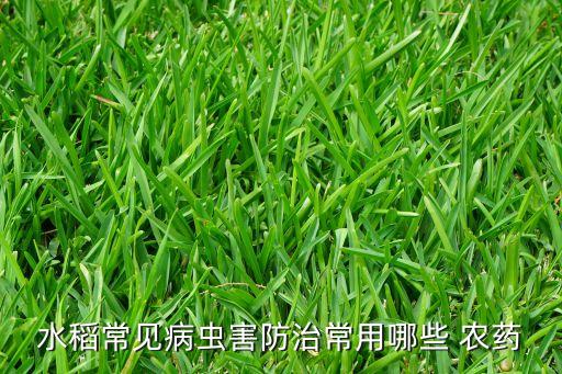 水稻常見(jiàn)病蟲(chóng)害防治常用哪些 農(nóng)藥