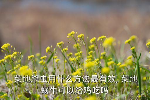  菜地殺蟲用什么方法最有效, 菜地蝸牛可以給雞吃嗎