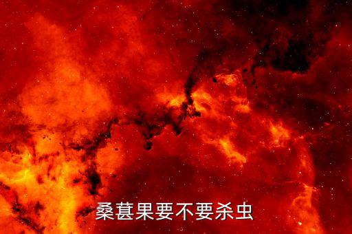 桑椹打什么農(nóng)藥,桑葚有農(nóng)藥嗎
