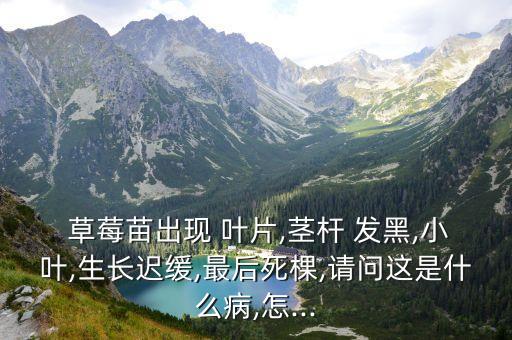 草莓葉片發黑用什么農藥,草莓的葉片由什么組成