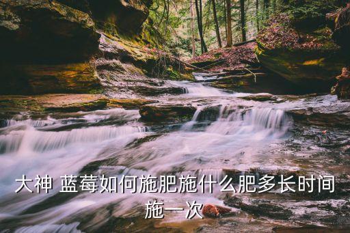 大神 藍莓如何施肥施什么肥多長時間施一次