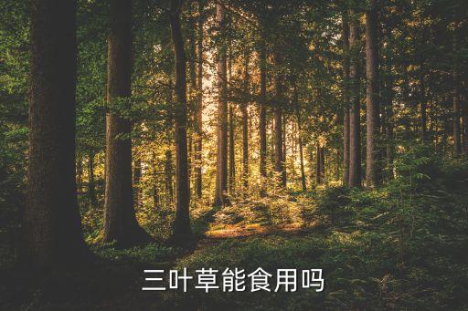 三葉草能食用嗎
