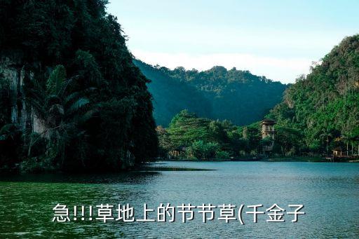 草根除什么農藥,殺死雜草根最好的農藥是誰