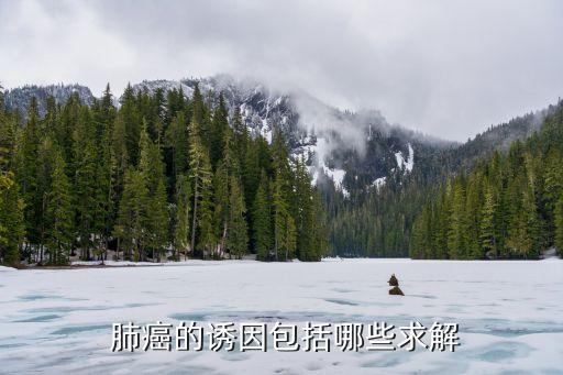  肺癌的誘因包括哪些求解