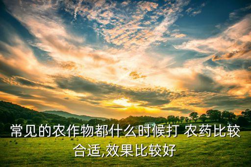 夏季打什么農藥最好打魚,炭疽病用什么農藥最好