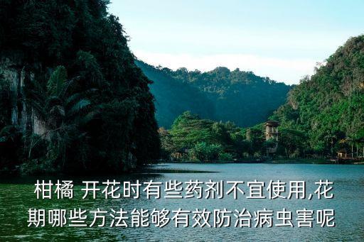  柑橘 開花時有些藥劑不宜使用,花期哪些方法能夠有效防治病蟲害呢