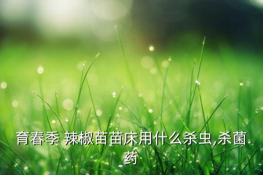 育春季 辣椒苗苗床用什么殺蟲(chóng),殺菌藥