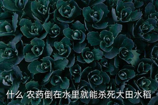 倍增農藥什么用處,農藥有什么用處