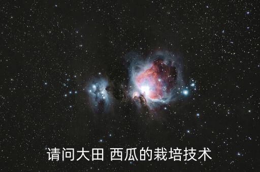 請問大田 西瓜的栽培技術