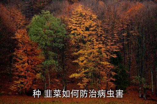 ,韭菜需要打什么農(nóng)藥長得好