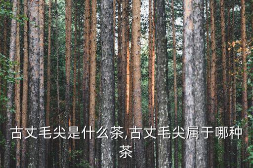 古丈毛尖是什么茶,古丈毛尖屬于哪種茶