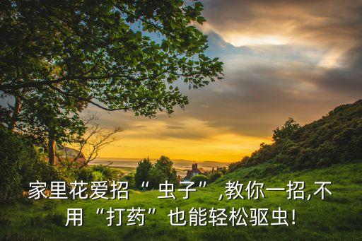 家里花愛招“ 蟲子”,教你一招,不用“打藥”也能輕松驅蟲!