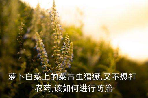 蘿卜白菜上的菜青蟲猖獗,又不想打 農(nóng)藥,該如何進行防治