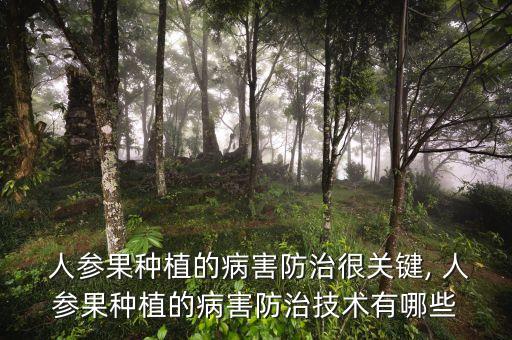 人參果不能打什么農藥,用什么打人參果