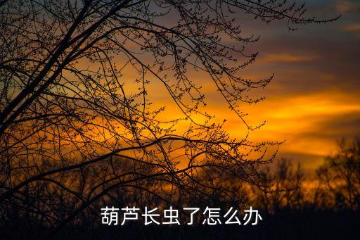  葫蘆長蟲了怎么辦
