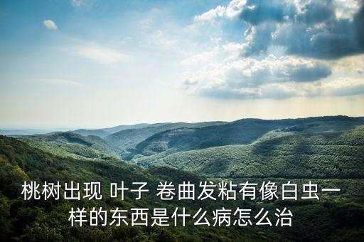 桃樹出現 葉子 卷曲發粘有像白蟲一樣的東西是什么病怎么治