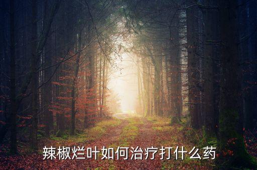 辣椒干枯打什么農藥,辣椒爛葉用什么農藥好