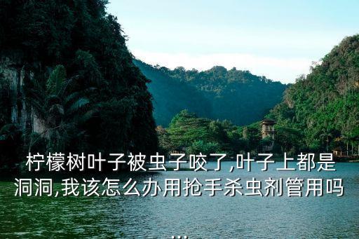 檸檬樹葉子被蟲子咬了,葉子上都是洞洞,我該怎么辦用搶手殺蟲劑管用嗎...