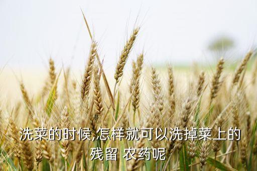  洗菜的時候,怎樣就可以洗掉菜上的殘留 農藥呢
