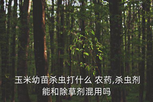  玉米幼苗殺蟲打什么 農(nóng)藥,殺蟲劑能和除草劑混用嗎