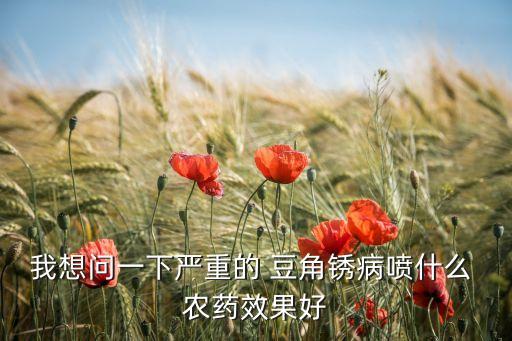 我想問一下嚴重的 豆角銹病噴什么 農藥效果好