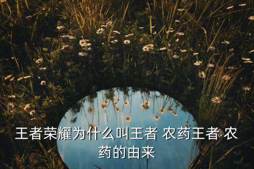 游戲農藥是什么意思,農藥有效成分含量是什么意思