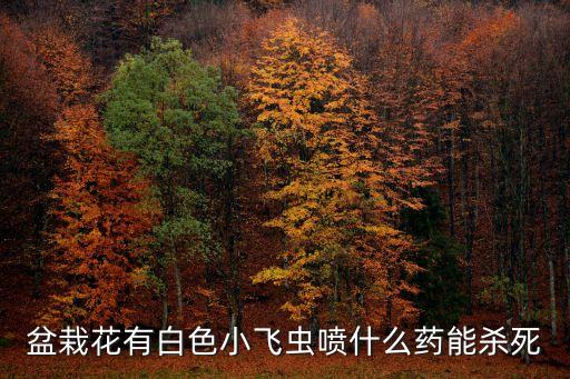 盆栽花有白色小飛蟲(chóng)噴什么藥能殺死