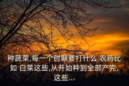 白菜初期用什么農藥,白菜打農藥什么時間最好